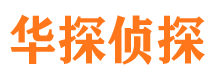 天桥调查公司